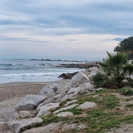Puerto-elmar *